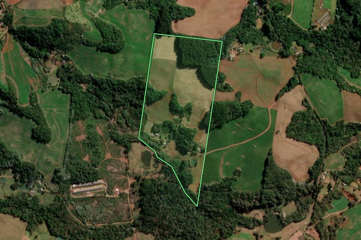 Imagem de satélite do imóvel rural em Francisco Beltrão (PR), com o contorno declarado no CAR desenhado por cima.