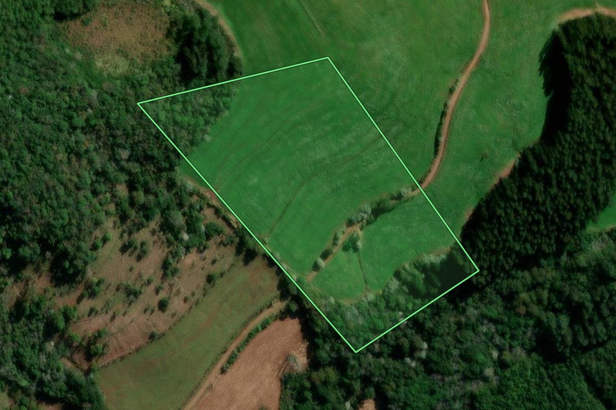 Imagem de satélite do imóvel rural em Francisco Beltrão (PR), com o contorno declarado no CAR desenhado por cima.