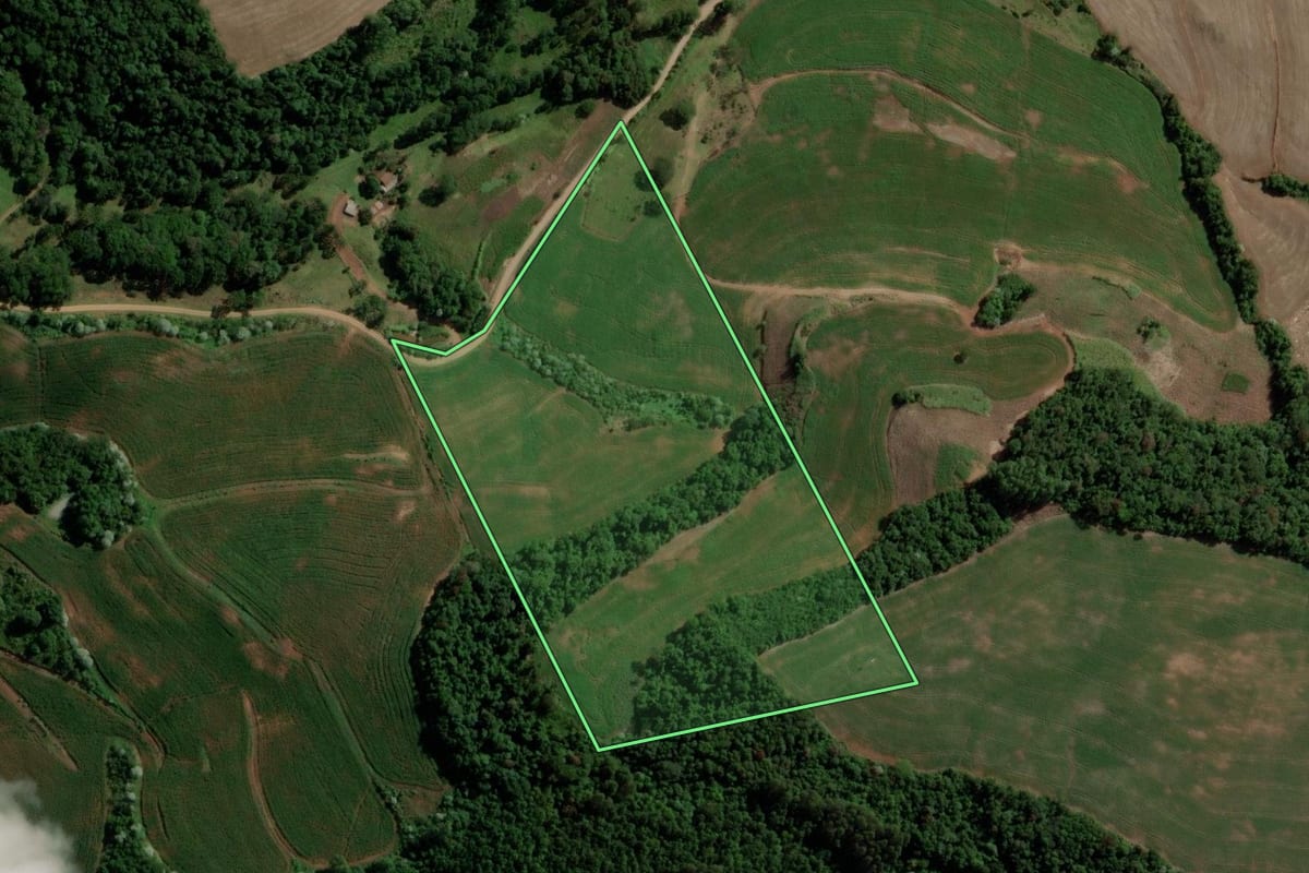 Imagem de satélite do imóvel rural em Francisco Beltrão (PR), com o contorno declarado no CAR desenhado por cima.