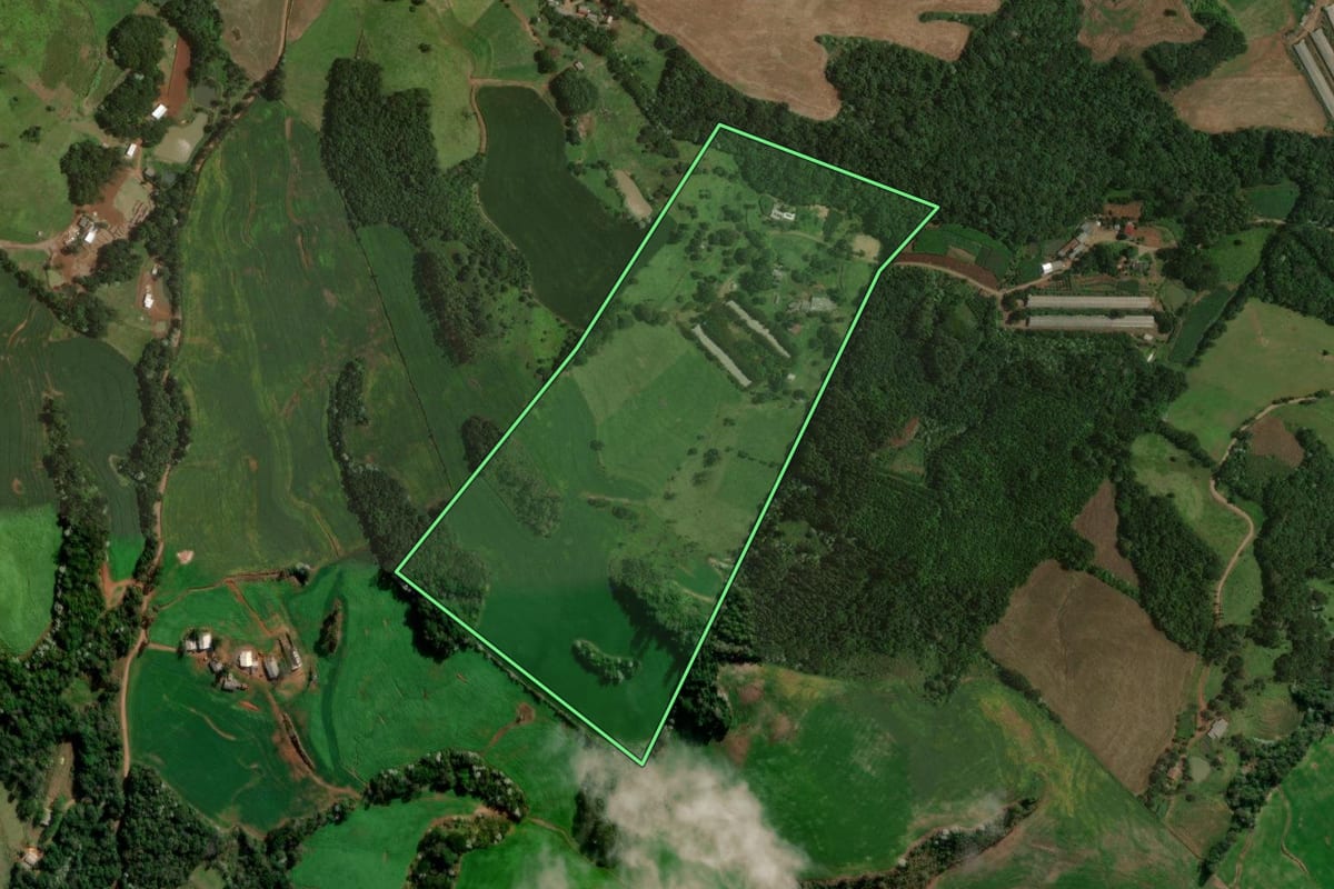 Imagem de satélite do imóvel rural em Francisco Beltrão (PR), com o contorno declarado no CAR desenhado por cima.