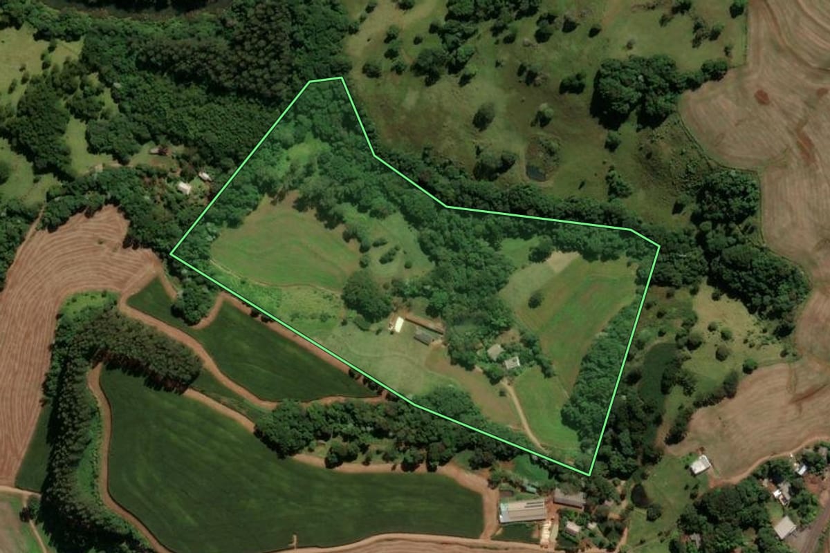 Imagem de satélite do imóvel rural em Francisco Beltrão (PR), com o contorno declarado no CAR desenhado por cima.