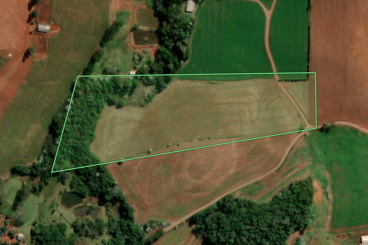 Imagem de satélite do imóvel rural em Francisco Beltrão (PR), com o contorno declarado no CAR desenhado por cima.