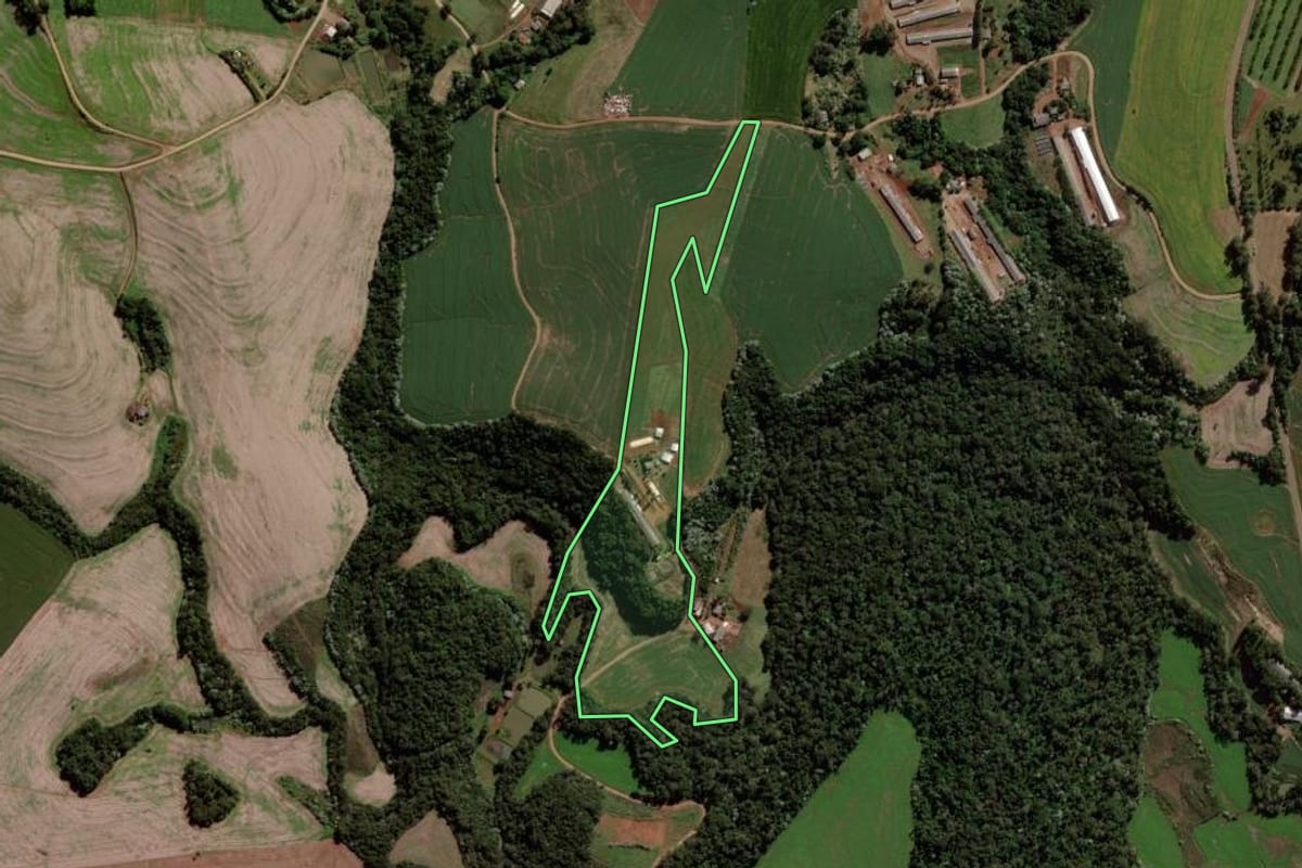 Imagem de satélite do imóvel rural em Francisco Beltrão (PR), com o contorno declarado no CAR desenhado por cima.