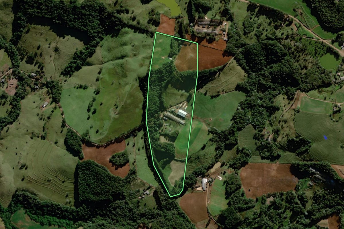Imagem de satélite do imóvel rural em Francisco Beltrão (PR), com o contorno declarado no CAR desenhado por cima.