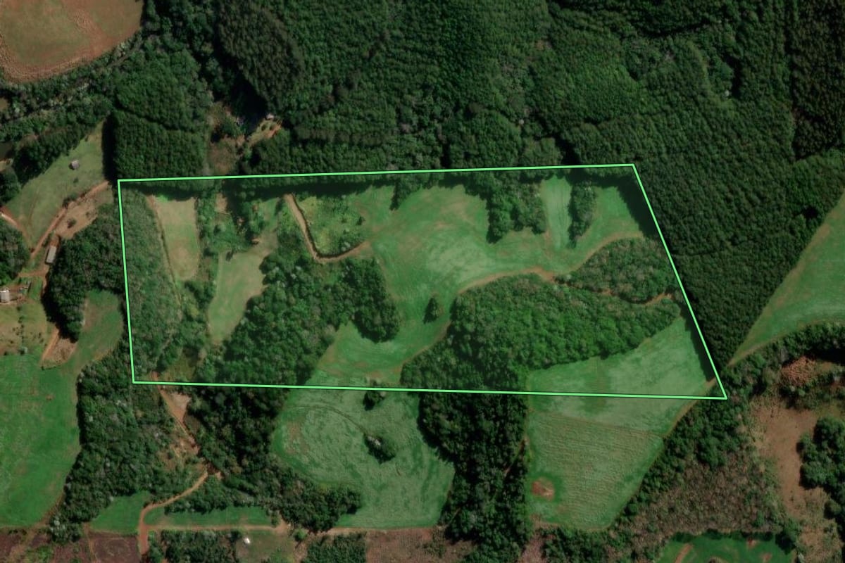 Imagem de satélite do imóvel rural em Francisco Beltrão (PR), com o contorno declarado no CAR desenhado por cima.
