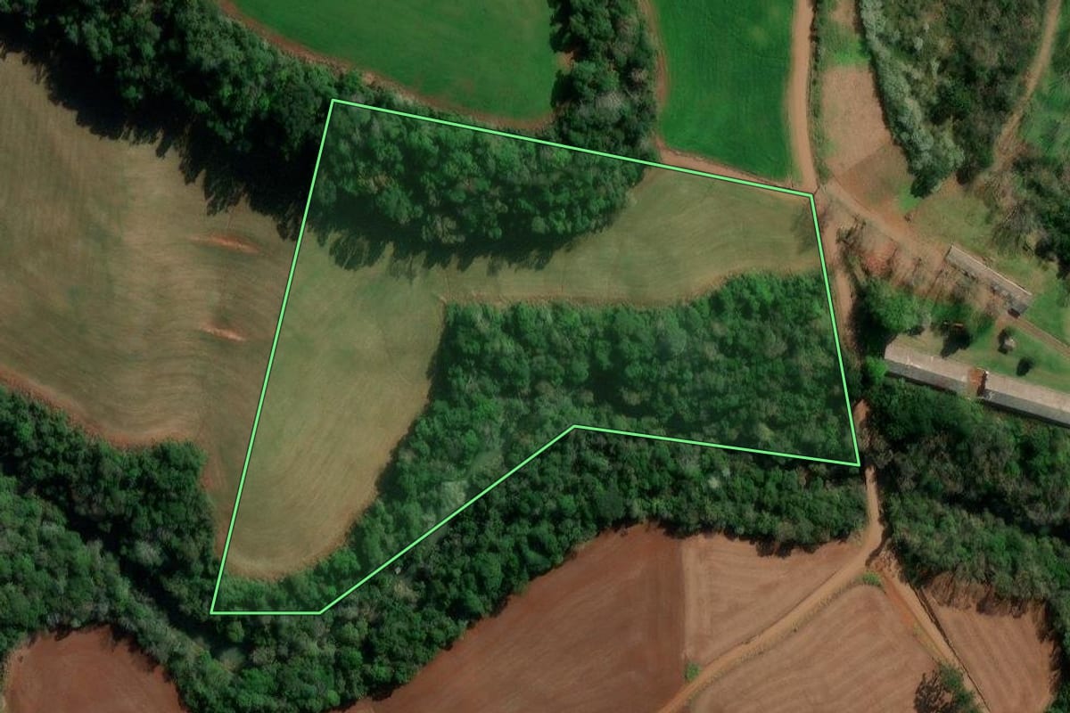 Imagem de satélite do imóvel rural em Francisco Beltrão (PR), com o contorno declarado no CAR desenhado por cima.