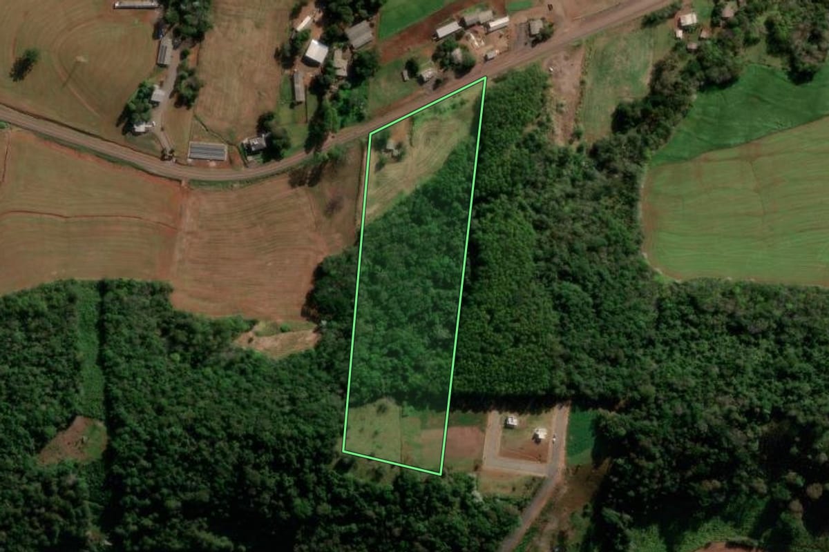 Imagem de satélite do imóvel rural em Francisco Beltrão (PR), com o contorno declarado no CAR desenhado por cima.
