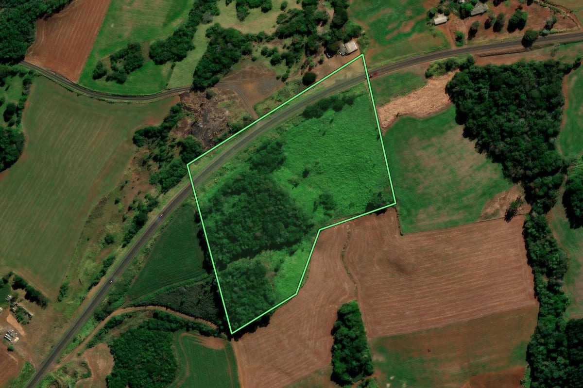 Imagem de satélite do imóvel rural em Foz do Jordão (PR), com o contorno declarado no CAR desenhado por cima.