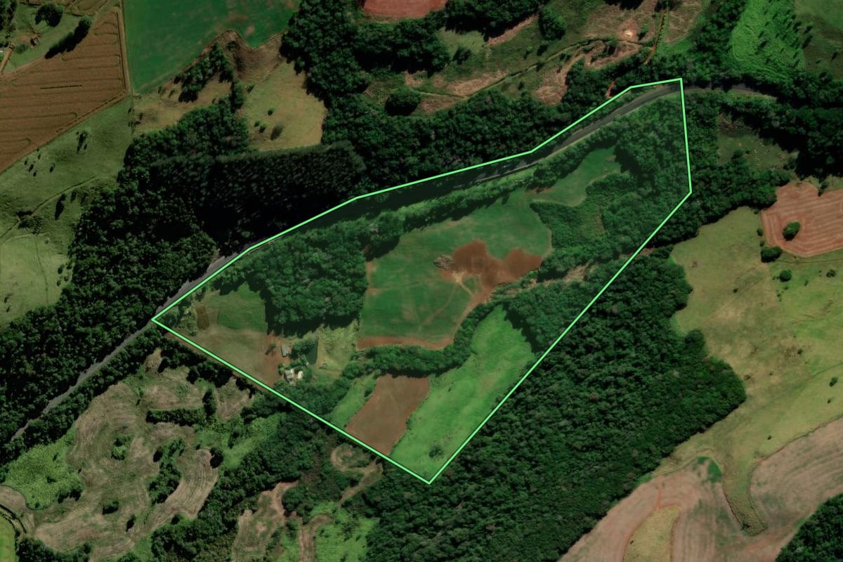 Imagem de satélite do imóvel rural em Foz do Jordão (PR), com o contorno declarado no CAR desenhado por cima.