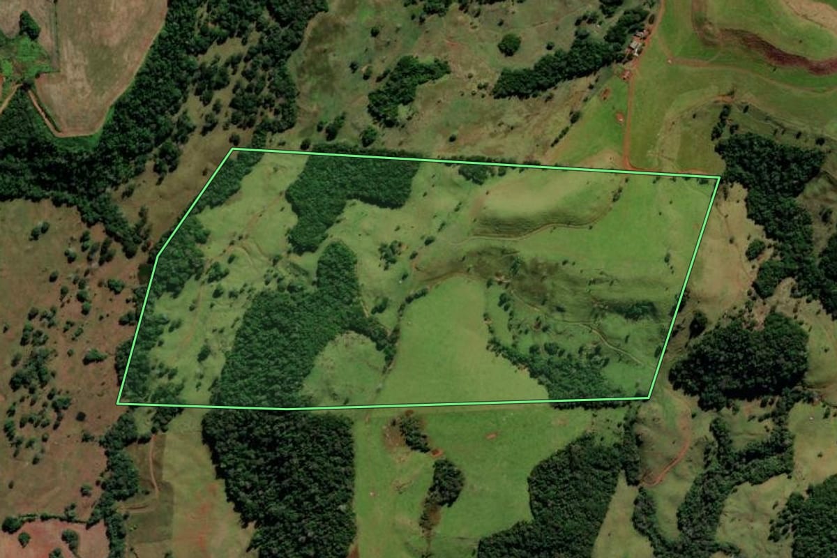 Imagem de satélite do imóvel rural em Foz do Jordão (PR), com o contorno declarado no CAR desenhado por cima.