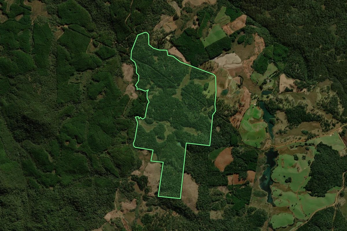 Imagem de satélite do imóvel rural em General Carneiro (PR), com o contorno declarado no CAR desenhado por cima.