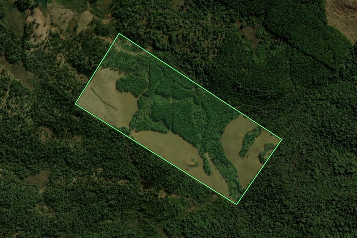 Imagem de satélite do imóvel rural em General Carneiro (PR), com o contorno declarado no CAR desenhado por cima.
