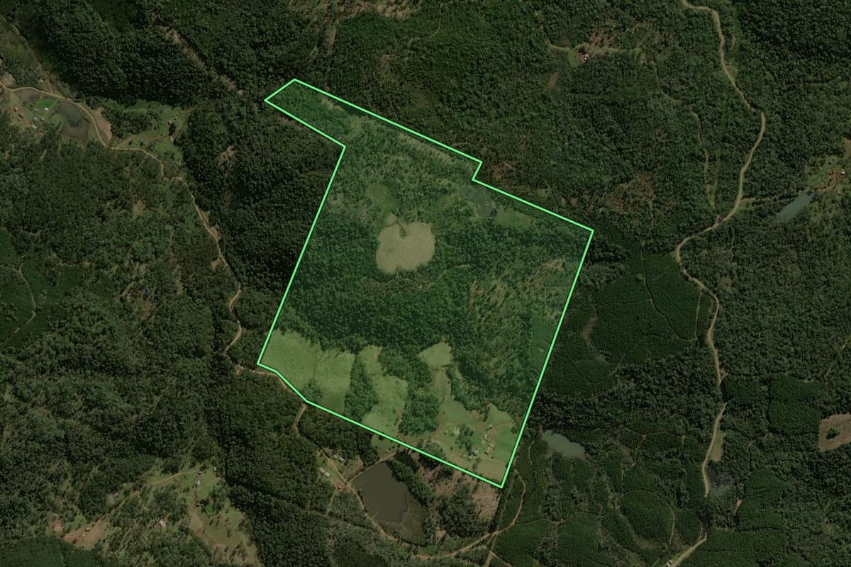 Imagem de satélite do imóvel rural em General Carneiro (PR), com o contorno declarado no CAR desenhado por cima.