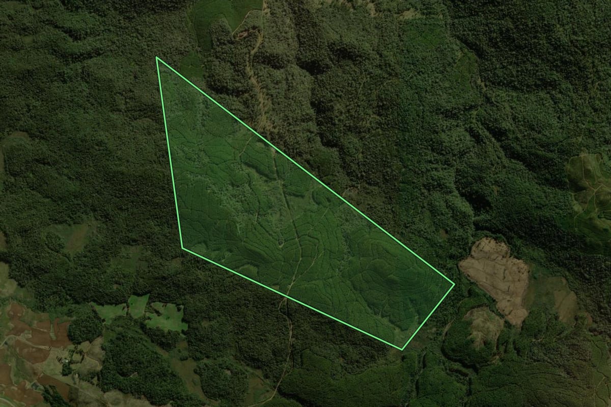 Imagem de satélite do imóvel rural em General Carneiro (PR), com o contorno declarado no CAR desenhado por cima.