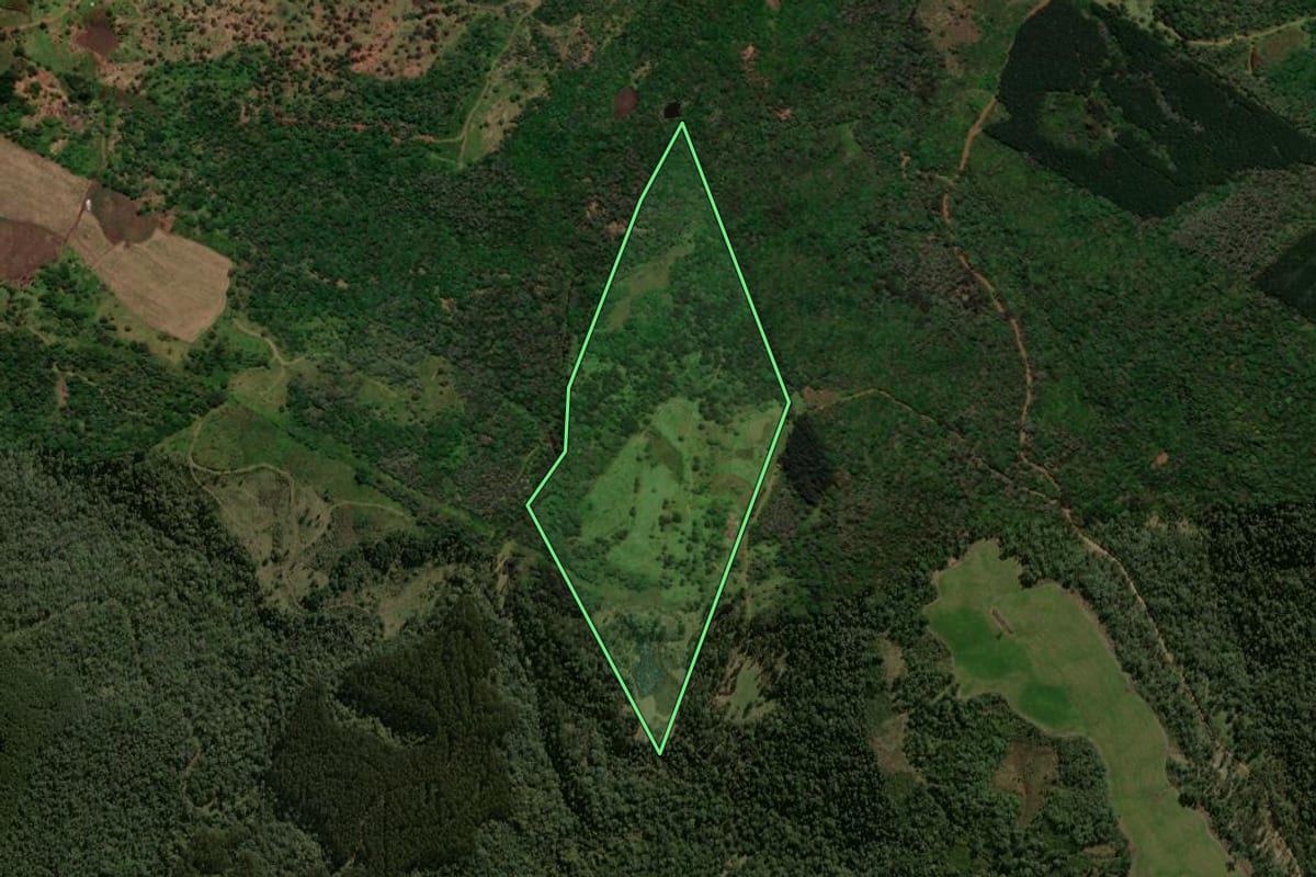 Imagem de satélite do imóvel rural em General Carneiro (PR), com o contorno declarado no CAR desenhado por cima.