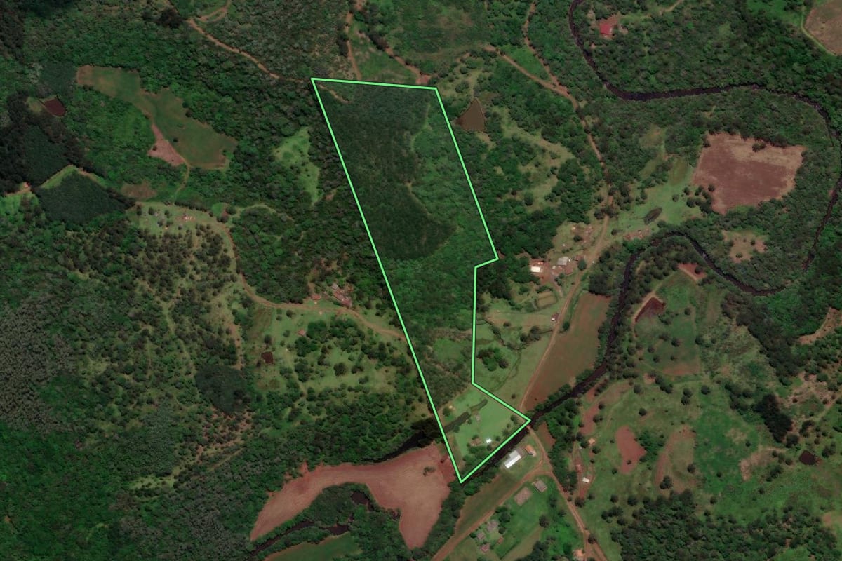 Imagem de satélite do imóvel rural em General Carneiro (PR), com o contorno declarado no CAR desenhado por cima.