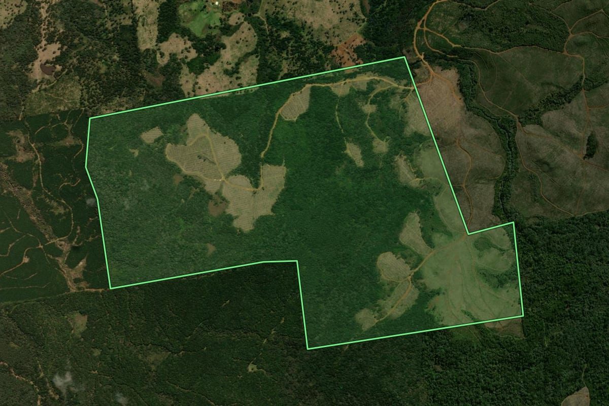 Imagem de satélite do imóvel rural em General Carneiro (PR), com o contorno declarado no CAR desenhado por cima.