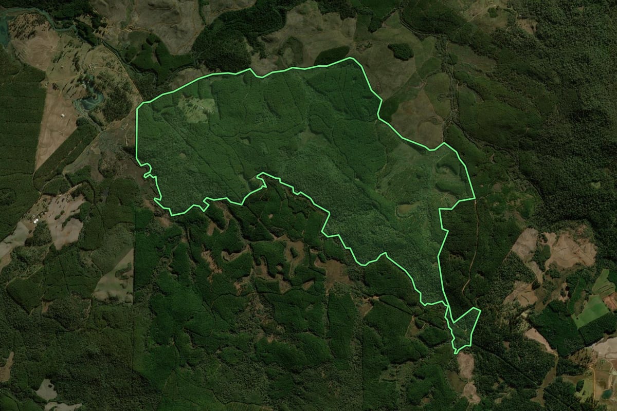 Imagem de satélite do imóvel rural em General Carneiro (PR), com o contorno declarado no CAR desenhado por cima.