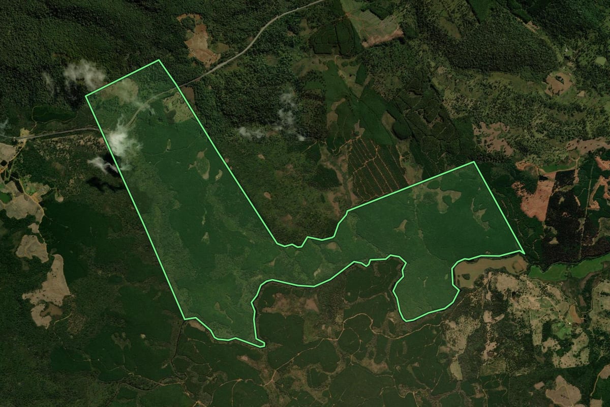 Imagem de satélite do imóvel rural em General Carneiro (PR), com o contorno declarado no CAR desenhado por cima.