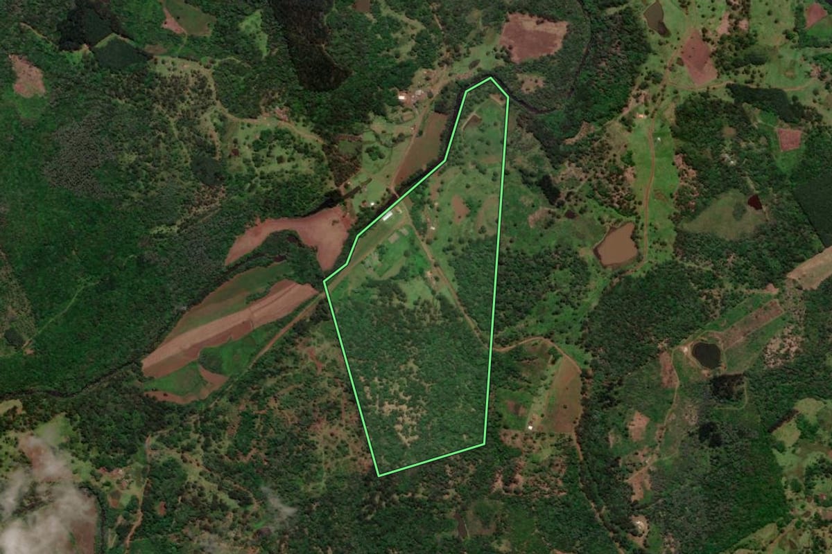Imagem de satélite do imóvel rural em General Carneiro (PR), com o contorno declarado no CAR desenhado por cima.