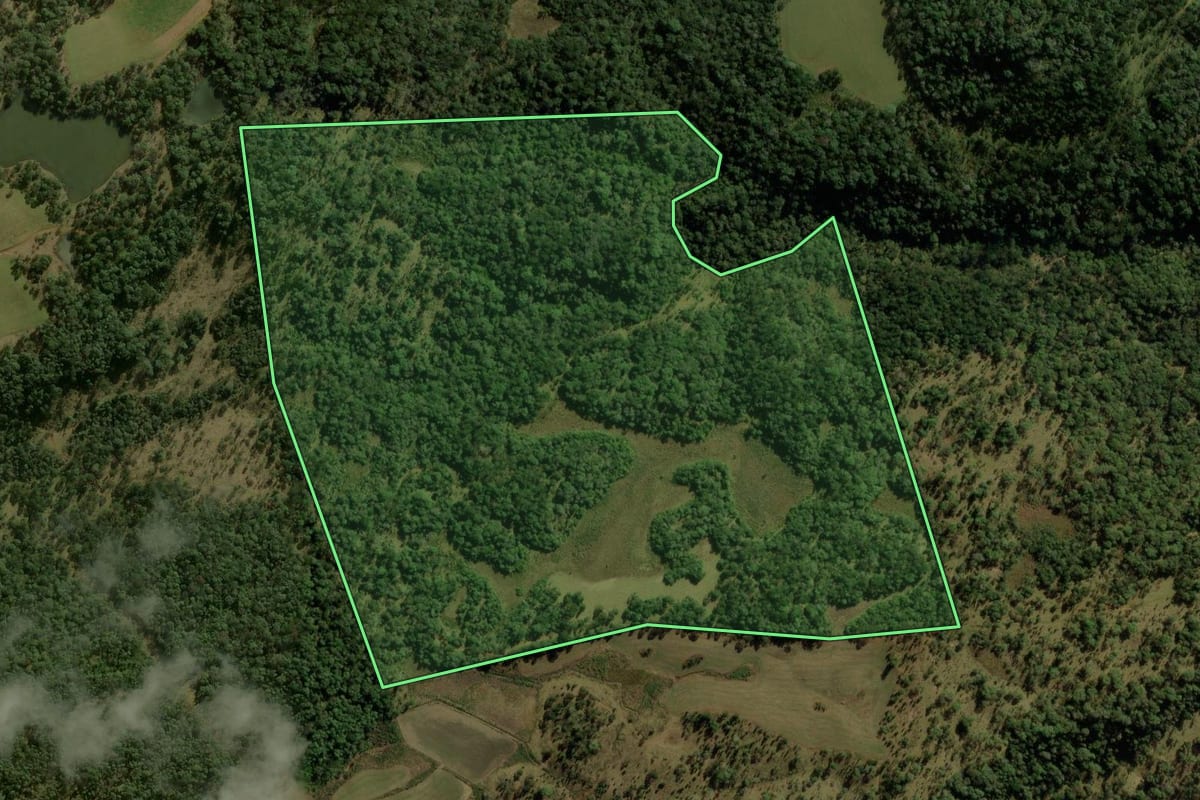 Imagem de satélite do imóvel rural em General Carneiro (PR), com o contorno declarado no CAR desenhado por cima.
