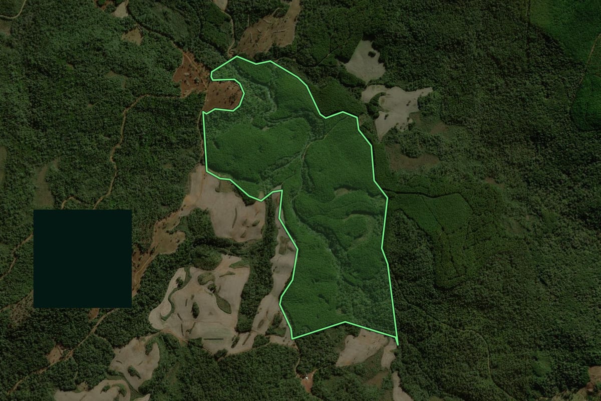 Imagem de satélite do imóvel rural em General Carneiro (PR), com o contorno declarado no CAR desenhado por cima.