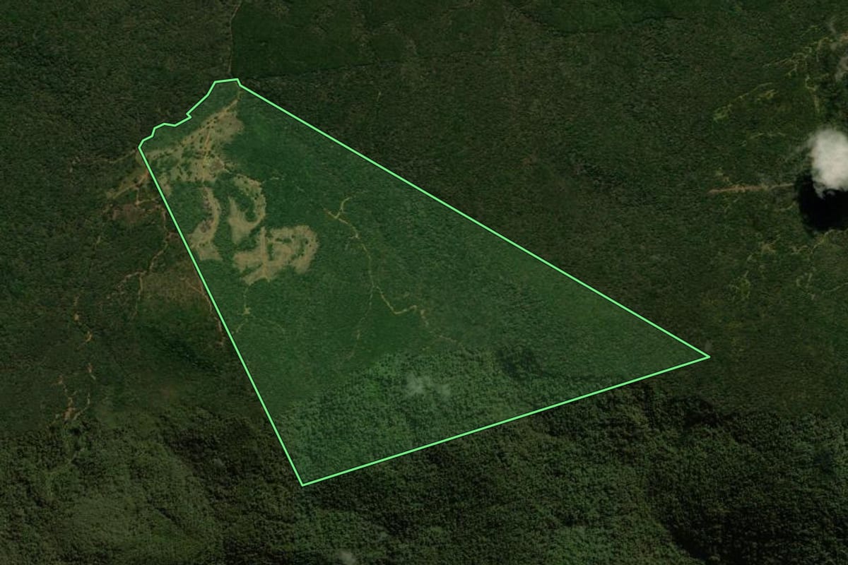 Imagem de satélite do imóvel rural em General Carneiro (PR), com o contorno declarado no CAR desenhado por cima.