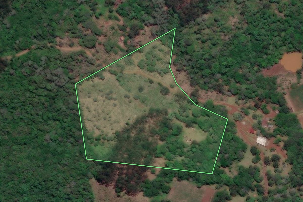 Imagem de satélite do imóvel rural em General Carneiro (PR), com o contorno declarado no CAR desenhado por cima.