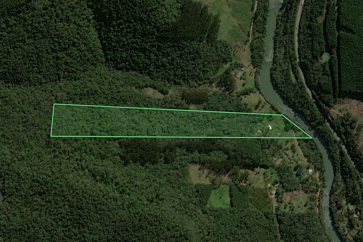 Imagem de satélite do imóvel rural em General Carneiro (PR), com o contorno declarado no CAR desenhado por cima.