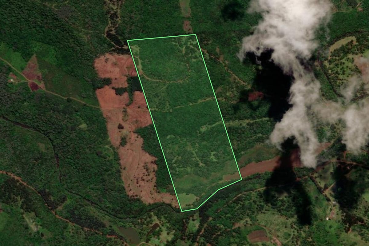 Imagem de satélite do imóvel rural em General Carneiro (PR), com o contorno declarado no CAR desenhado por cima.
