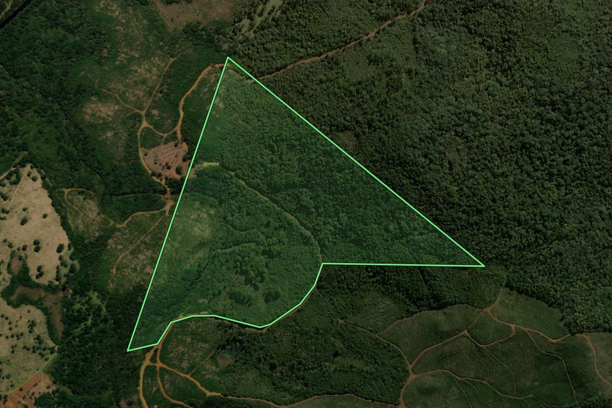 Imagem de satélite do imóvel rural em General Carneiro (PR), com o contorno declarado no CAR desenhado por cima.