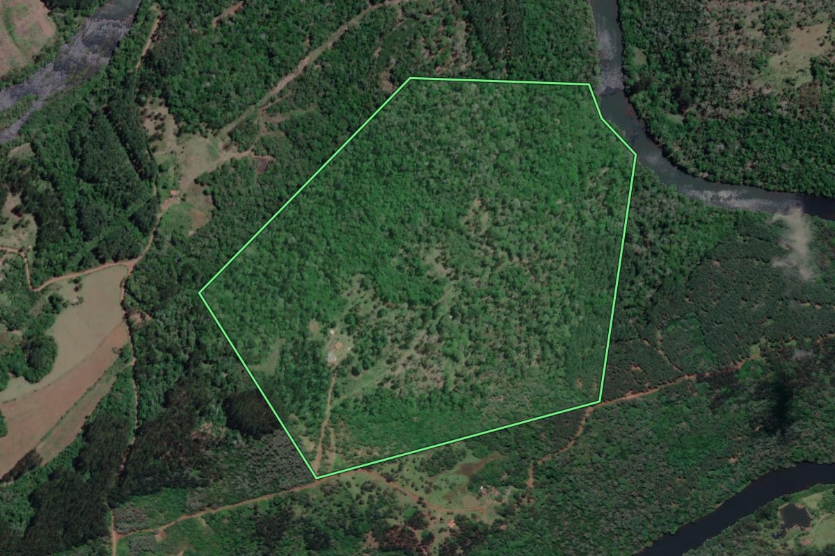 Imagem de satélite do imóvel rural em General Carneiro (PR), com o contorno declarado no CAR desenhado por cima.