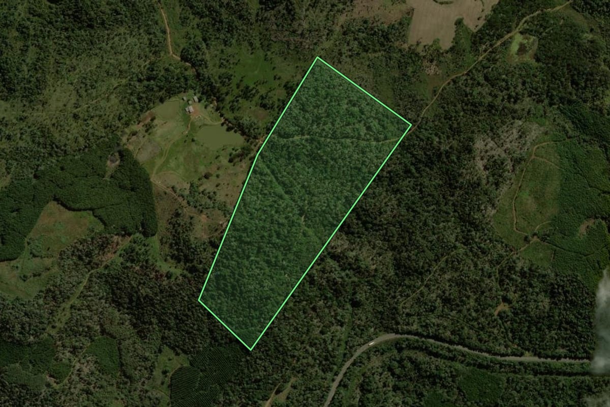 Imagem de satélite do imóvel rural em General Carneiro (PR), com o contorno declarado no CAR desenhado por cima.