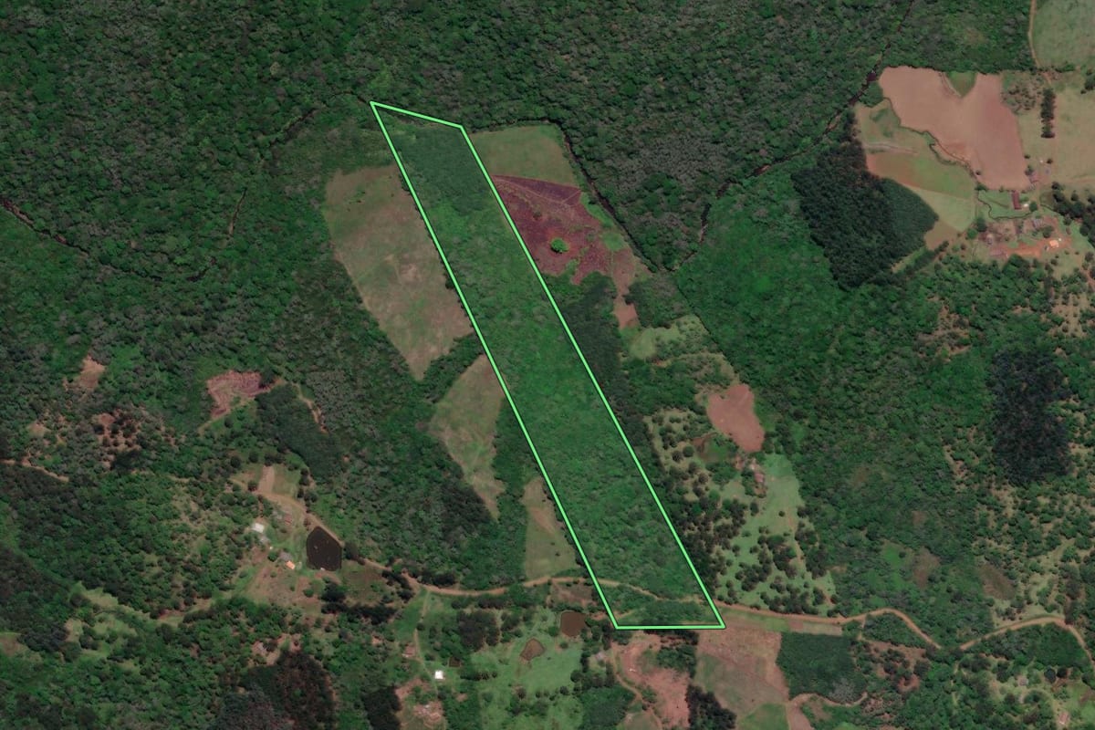 Imagem de satélite do imóvel rural em General Carneiro (PR), com o contorno declarado no CAR desenhado por cima.