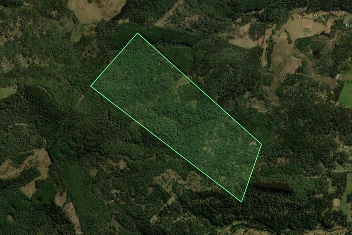 Imagem de satélite do imóvel rural em General Carneiro (PR), com o contorno declarado no CAR desenhado por cima.