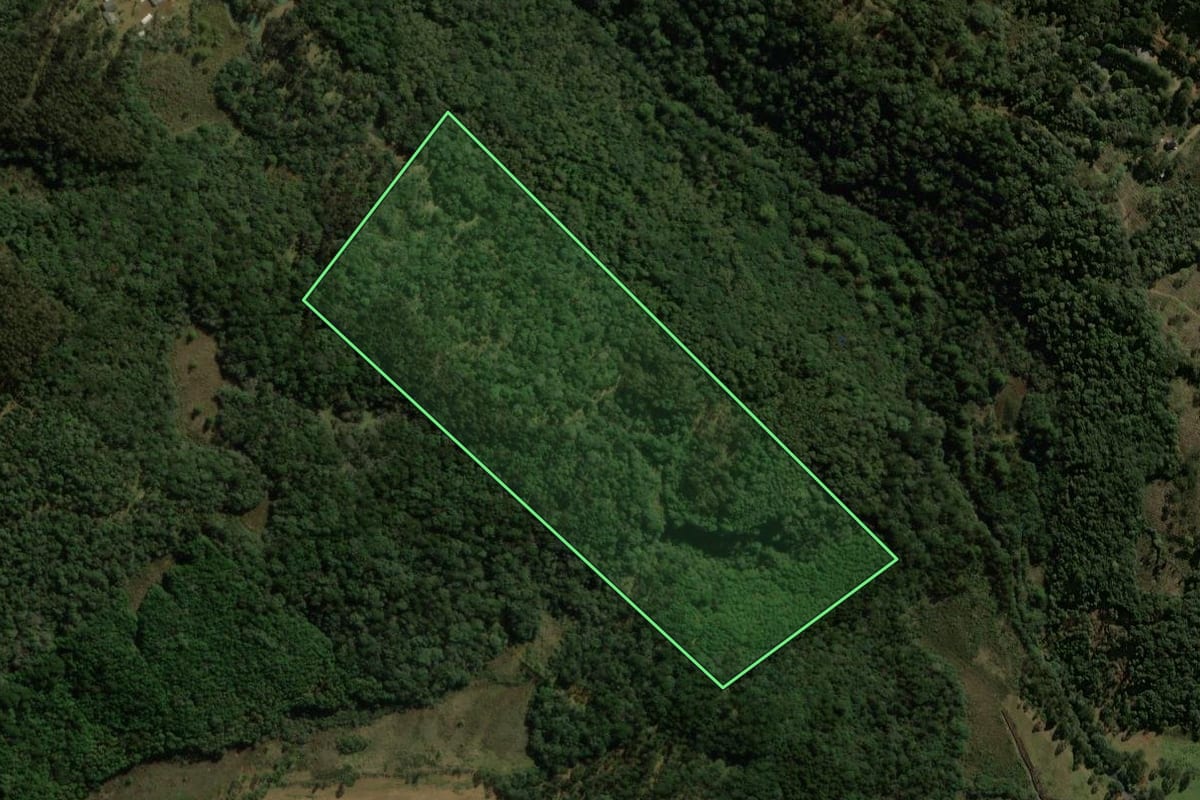 Imagem de satélite do imóvel rural em General Carneiro (PR), com o contorno declarado no CAR desenhado por cima.