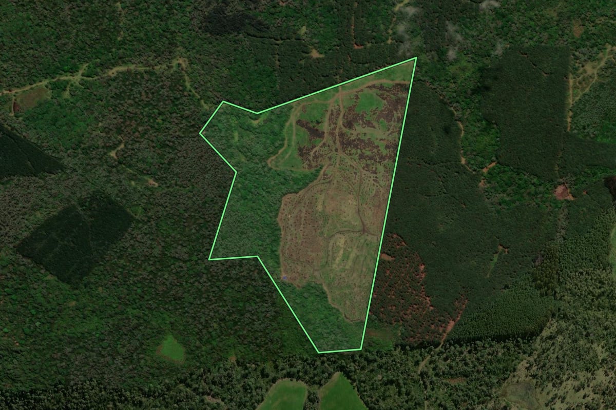 Imagem de satélite do imóvel rural em General Carneiro (PR), com o contorno declarado no CAR desenhado por cima.