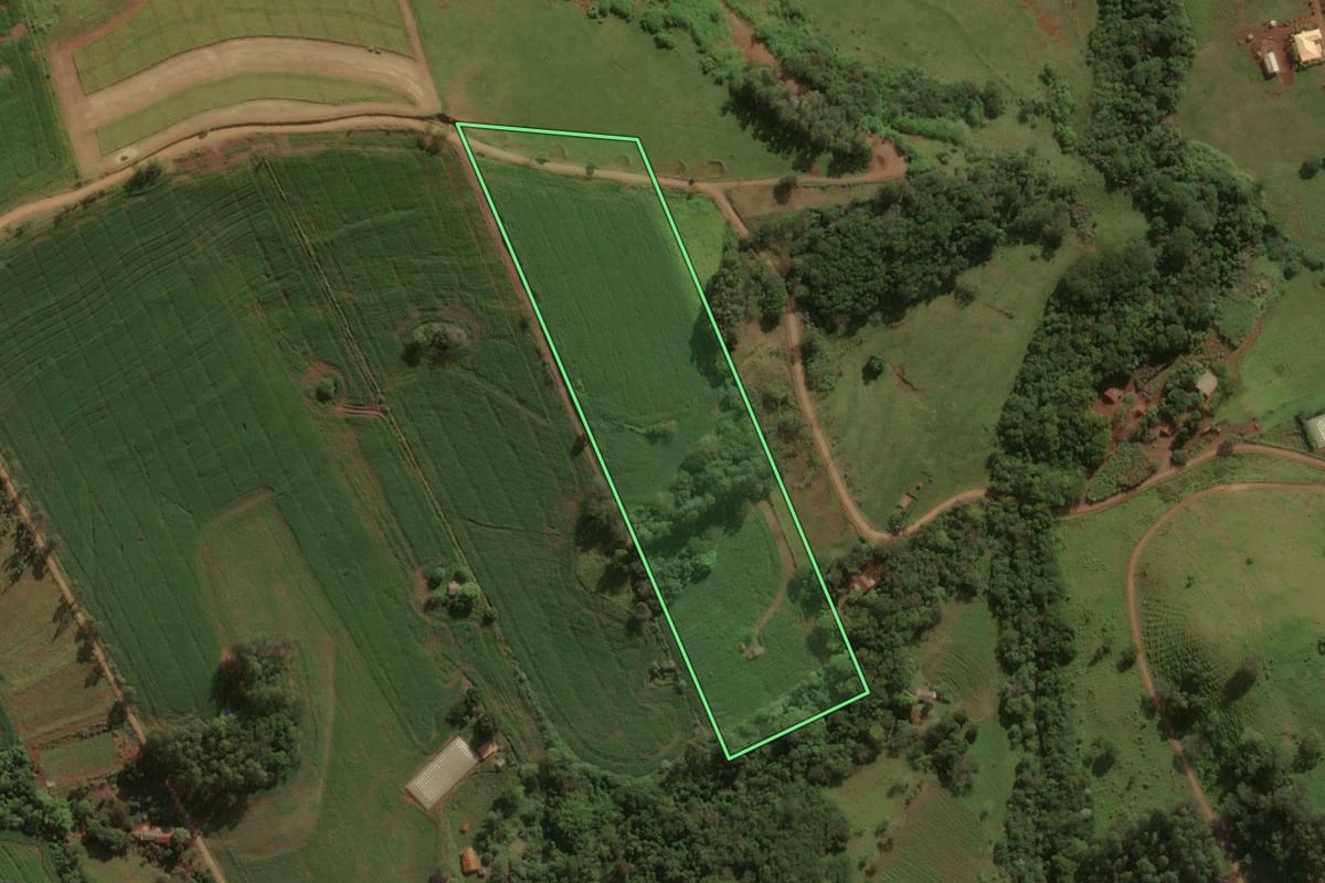 Imagem de satélite do imóvel rural em Godoy Moreira (PR), com o contorno declarado no CAR desenhado por cima.