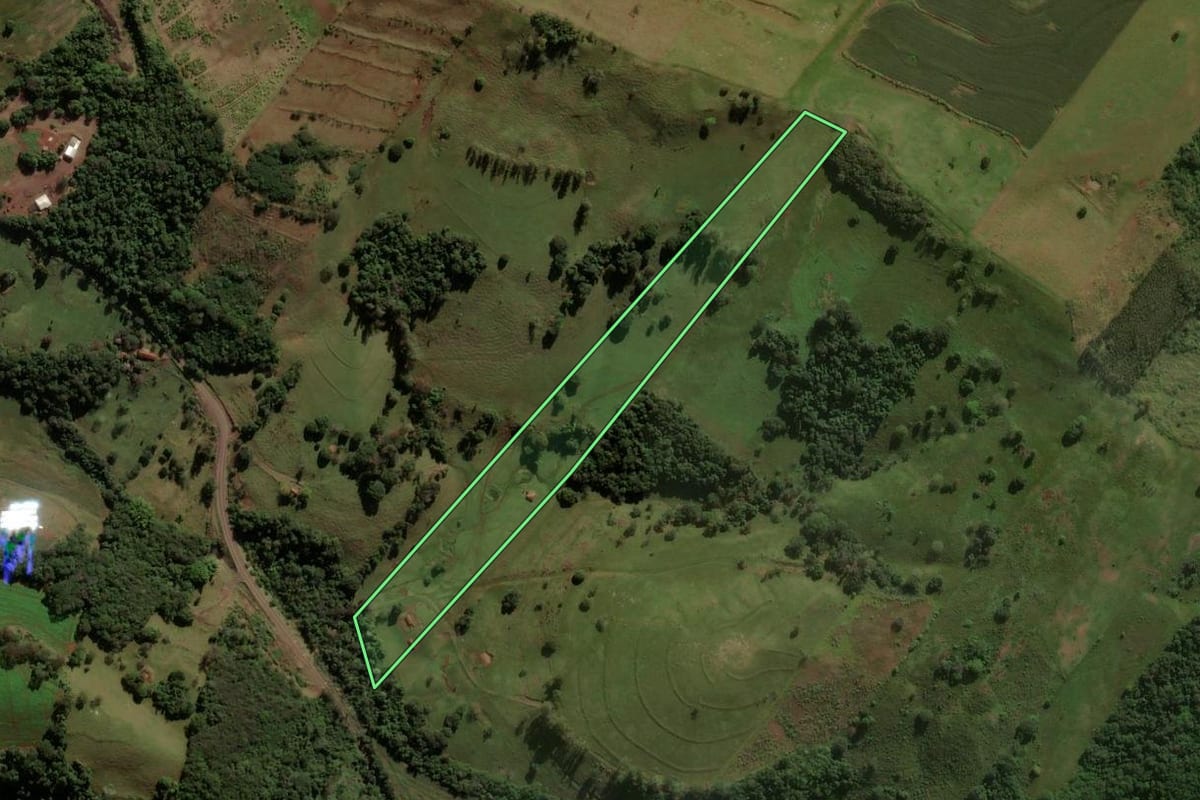 Imagem de satélite do imóvel rural em Godoy Moreira (PR), com o contorno declarado no CAR desenhado por cima.