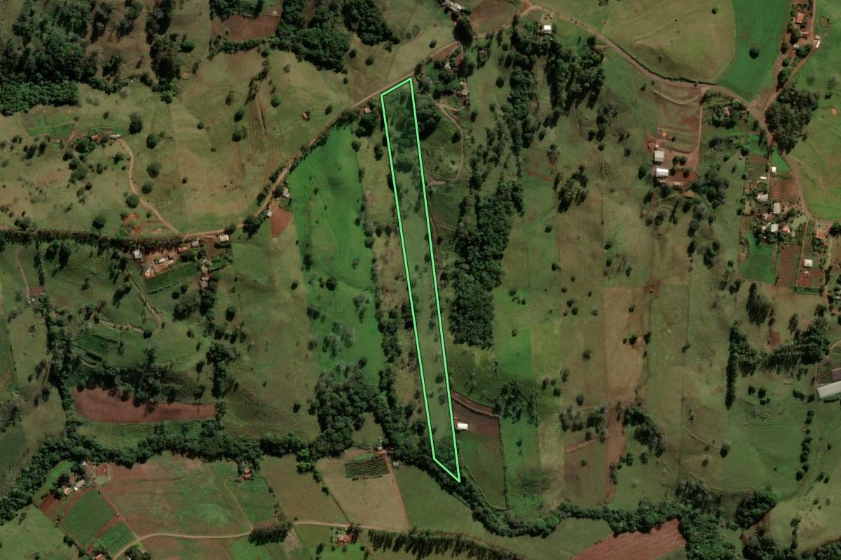 Imagem de satélite do imóvel rural em Godoy Moreira (PR), com o contorno declarado no CAR desenhado por cima.