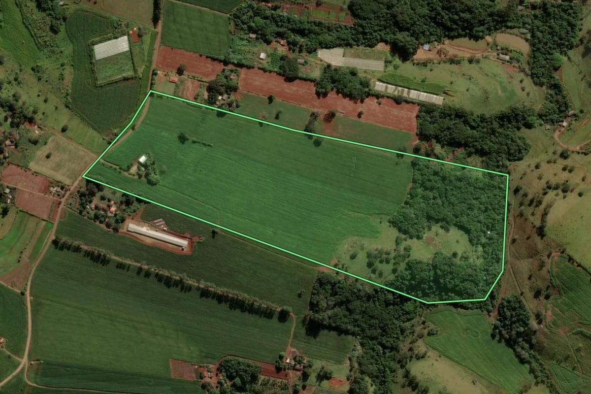 Imagem de satélite do imóvel rural em Godoy Moreira (PR), com o contorno declarado no CAR desenhado por cima.