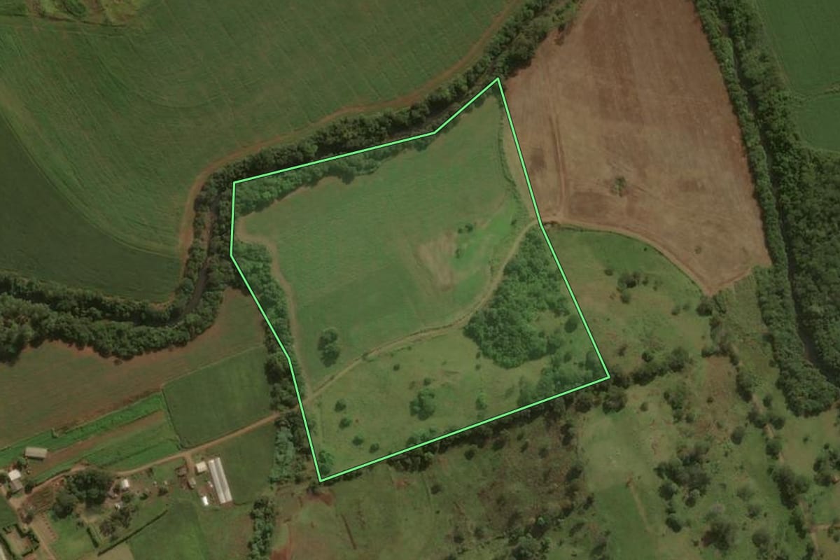 Imagem de satélite do imóvel rural em Godoy Moreira (PR), com o contorno declarado no CAR desenhado por cima.