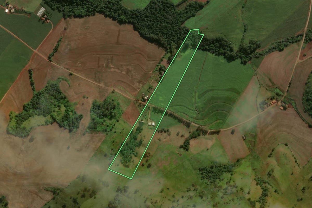 Imagem de satélite do imóvel rural em Godoy Moreira (PR), com o contorno declarado no CAR desenhado por cima.