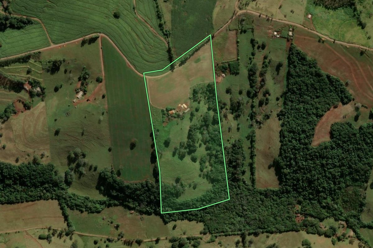 Imagem de satélite do imóvel rural em Godoy Moreira (PR), com o contorno declarado no CAR desenhado por cima.