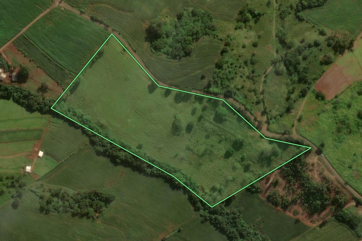 Imagem de satélite do imóvel rural em Godoy Moreira (PR), com o contorno declarado no CAR desenhado por cima.