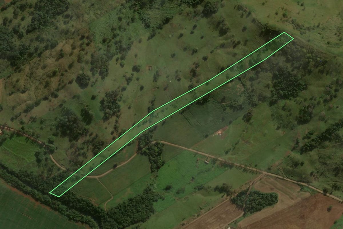 Imagem de satélite do imóvel rural em Godoy Moreira (PR), com o contorno declarado no CAR desenhado por cima.