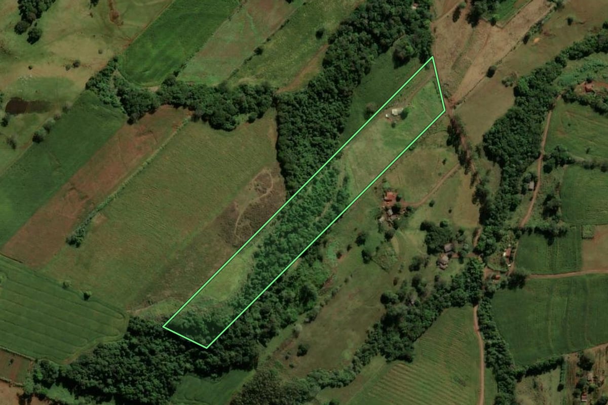 Imagem de satélite do imóvel rural em Godoy Moreira (PR), com o contorno declarado no CAR desenhado por cima.
