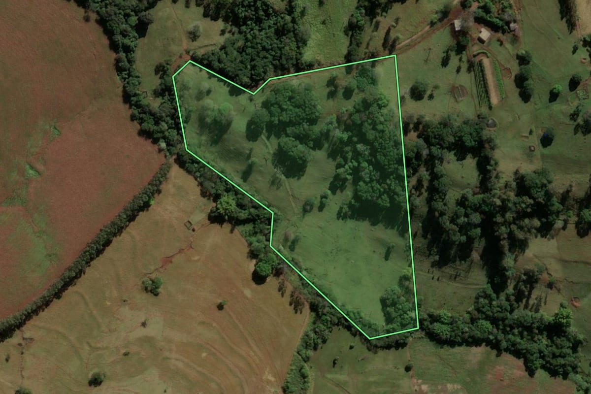 Imagem de satélite do imóvel rural em Godoy Moreira (PR), com o contorno declarado no CAR desenhado por cima.