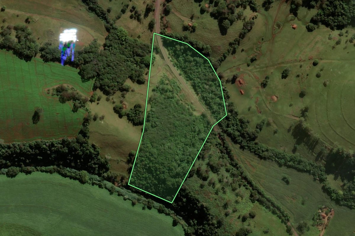 Imagem de satélite do imóvel rural em Godoy Moreira (PR), com o contorno declarado no CAR desenhado por cima.