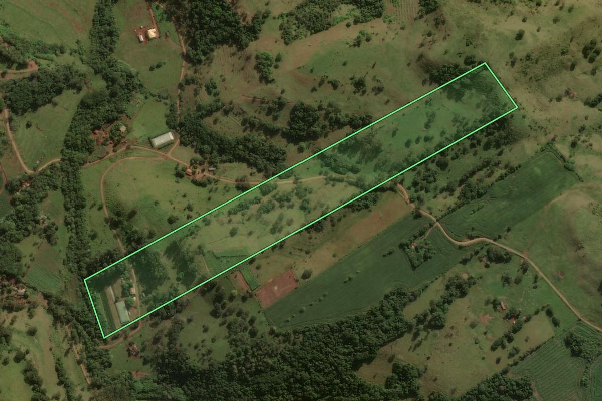 Imagem de satélite do imóvel rural em Godoy Moreira (PR), com o contorno declarado no CAR desenhado por cima.